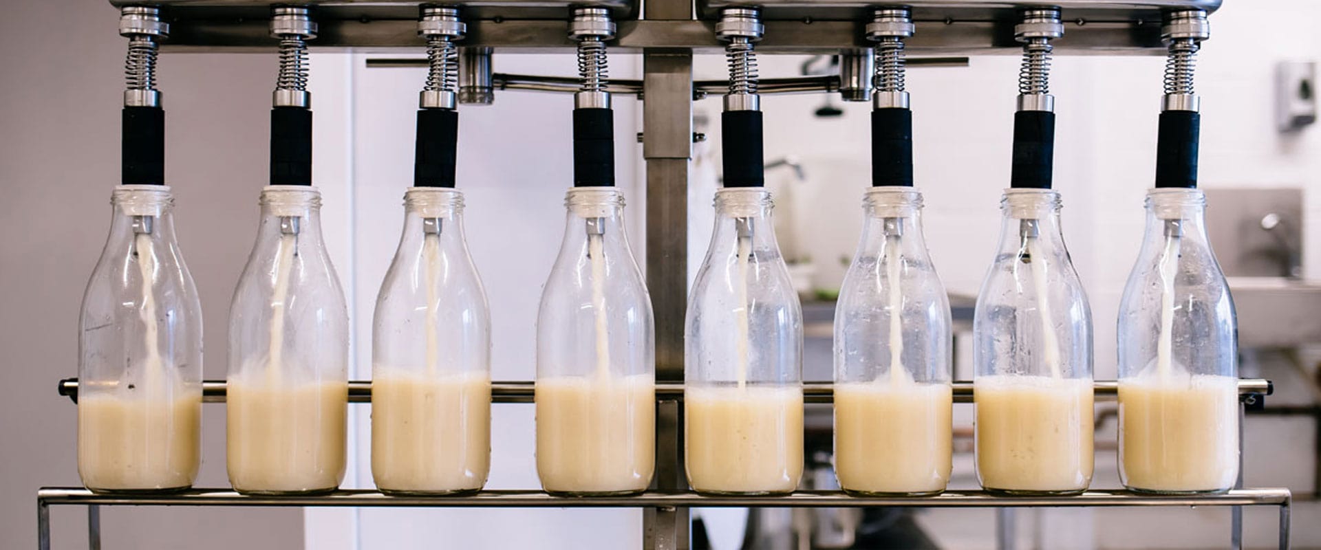 Dairy Free and Delicious milk at Planet 1st